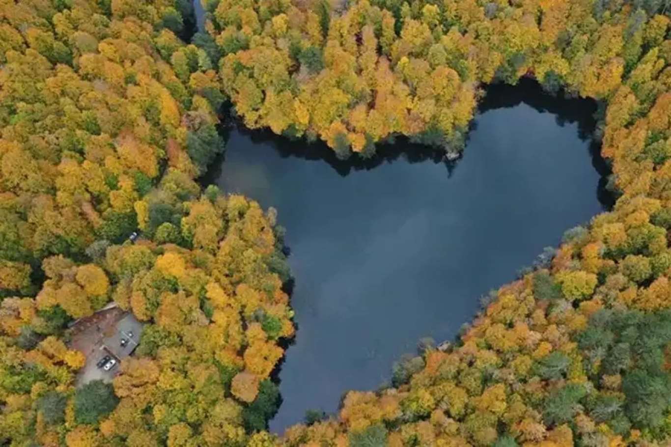 Milli Parklar Kanunu teklifine tepki: Muğla'da  11 bin 842 hektar alan risk altında haberi